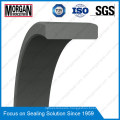 Fra/Gp Profile PTFE/Teflon Piston Guide Ring Seal/Wear Ring